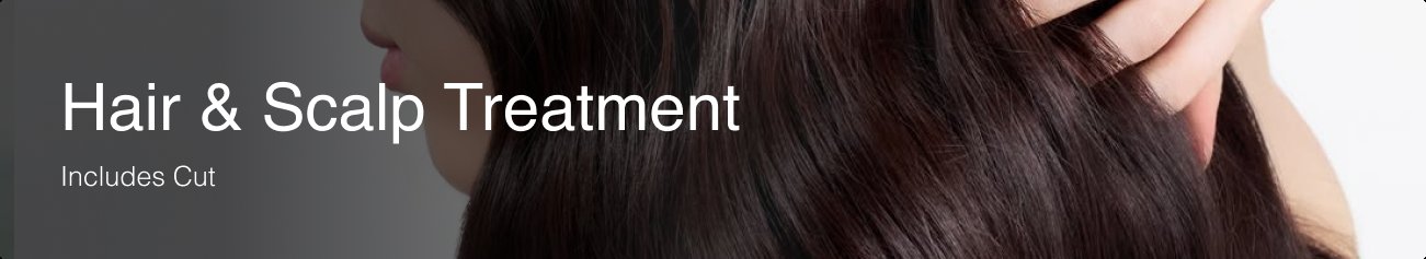 Hair & Scalp Treatment — includes cut